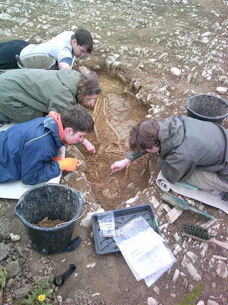 فريق من علماء الآثار ينقب في موقع تاريخي بجنوب ويلز، مستكشفين هياكل عظمية تعود للعصور الوسطى، معظمها للنساء.