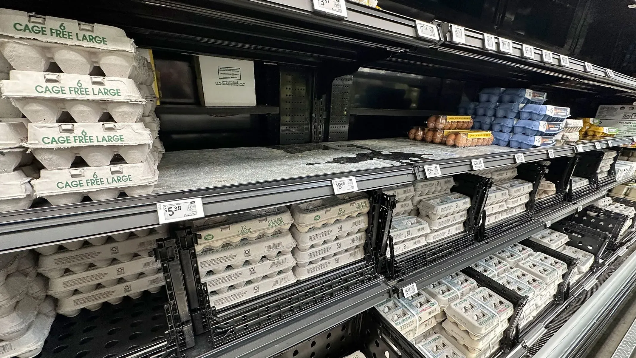 رفوف سوبر ماركت تظهر علب البيض، مع وجود فراغات ملحوظة، مما يعكس نقص البيض بسبب ارتفاع الأسعار والتحقيقات في شركة كال-ماين فودز.