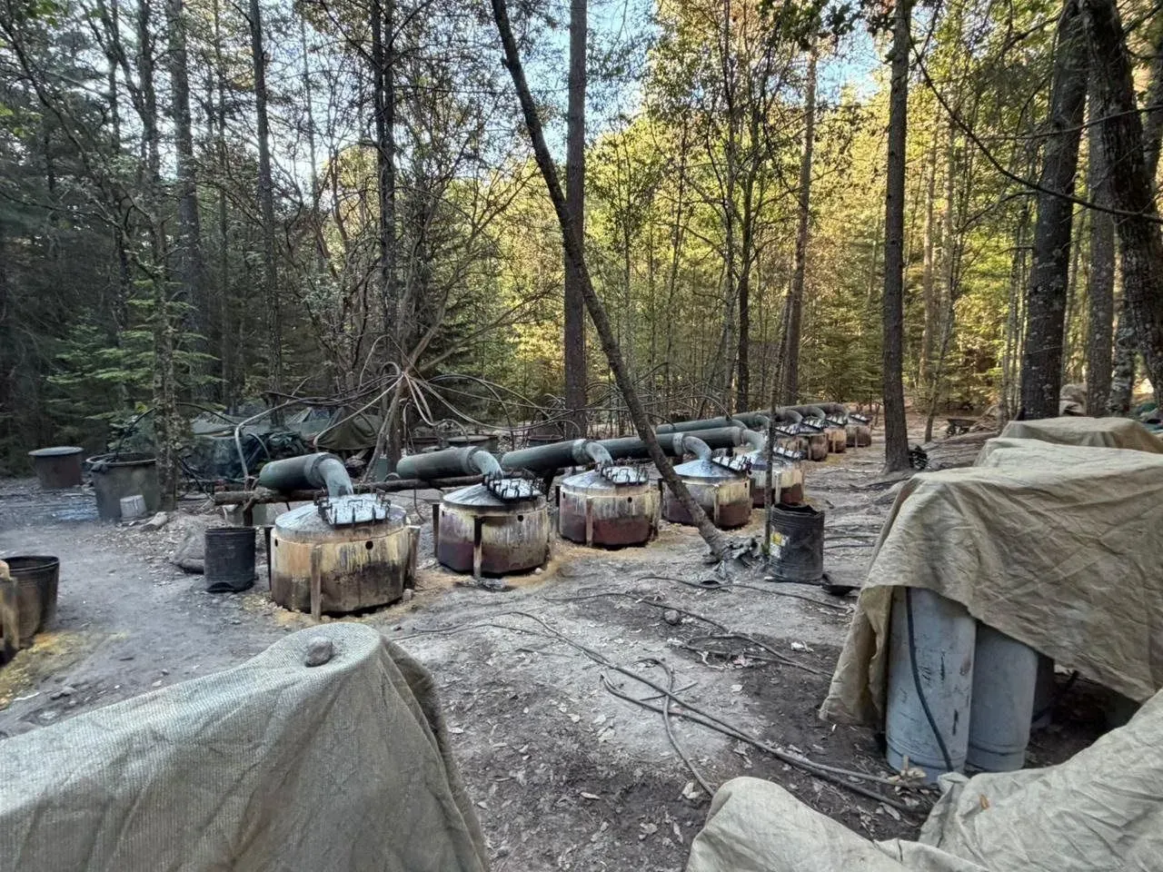 موقع لمعمل مخدرات غير قانوني في غابة، يظهر براميل وأجهزة متصلة، مما يعكس جهود مكافحة المخدرات في المكسيك.