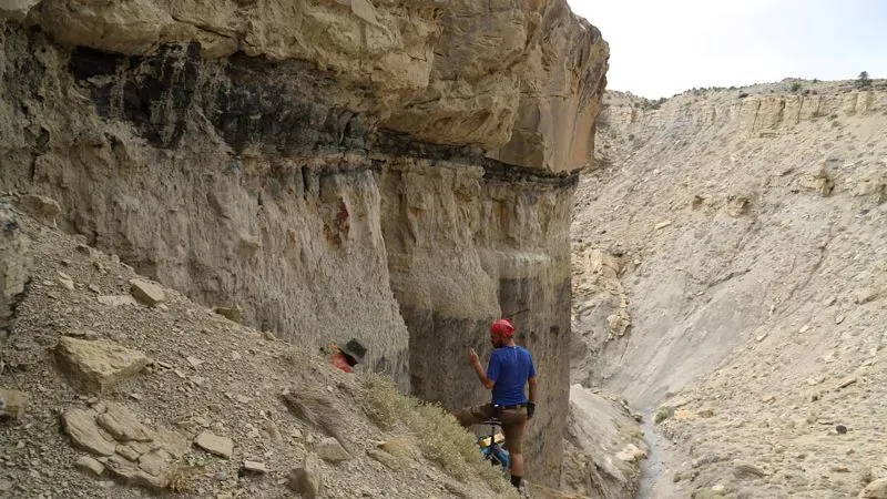 باحث يقف أمام جرف صخري يكشف عن طبقات جيولوجية، مما يشير إلى دراسة الحفريات وتأثيرها على فهم انقراض الديناصورات.