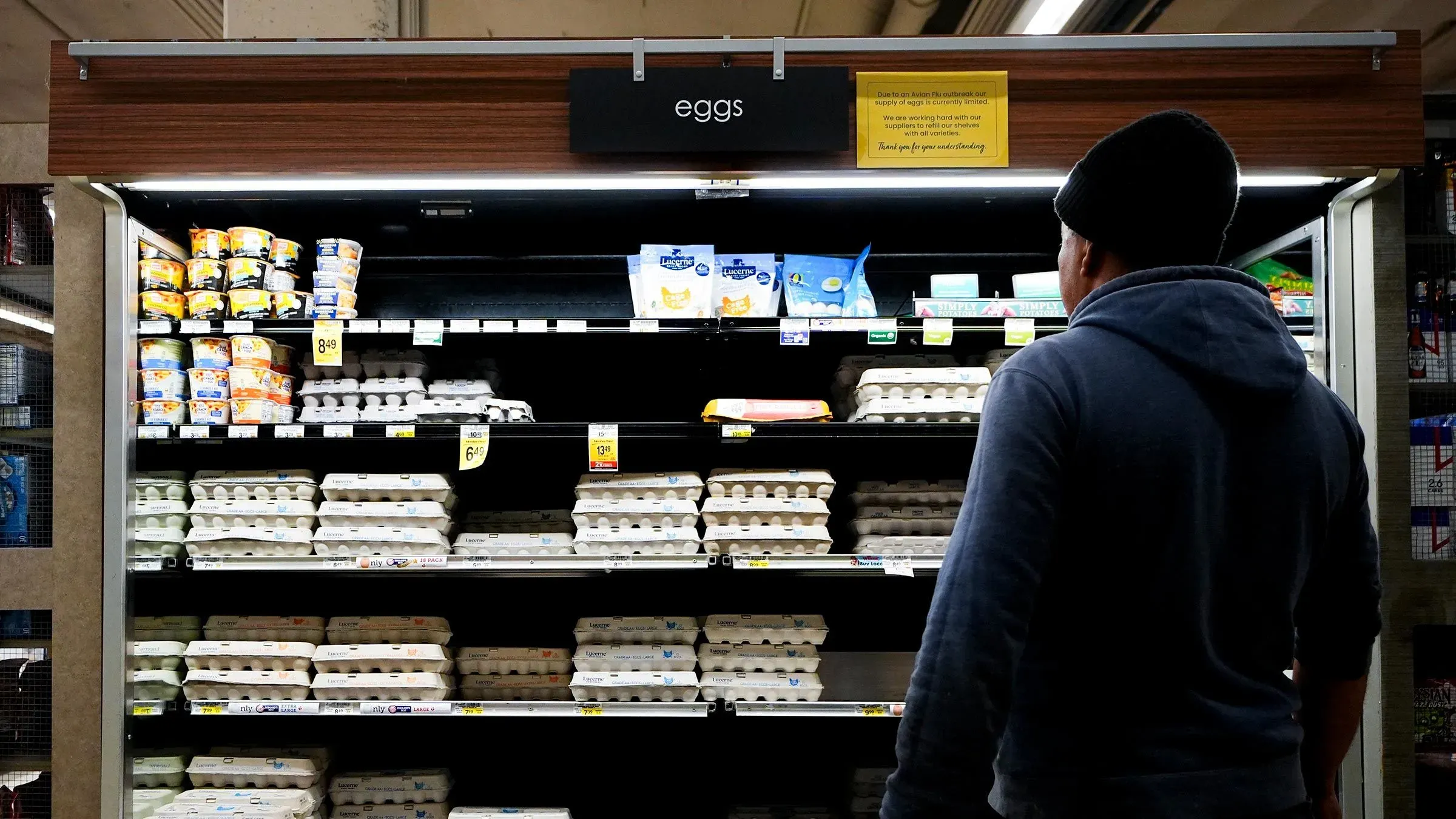رجل يتطلع إلى رف البيض في متجر، حيث الأسعار مرتفعة والنقص يبدو واضحًا، مما يعكس تأثير التضخم على المتسوقين.