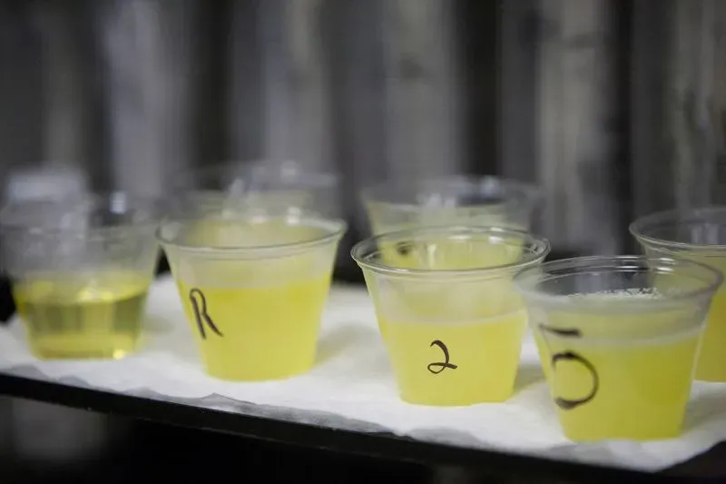 أكواب صغيرة تحتوي على زيوت نباتية مختلفة، مع تصنيفات مرقمة، تُظهر تنوع الدهون المستخدمة في الطهي وتأثيرها على الصحة.