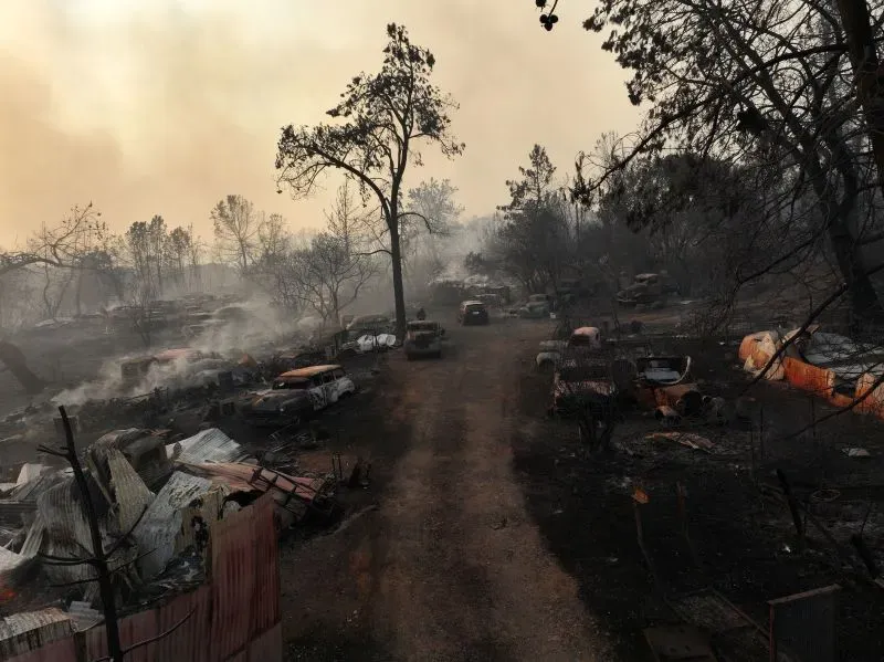 منظر لحرائق دمرت منطقة حضرية، مع سيارات محترقة وأشجار متفحمة، مما يعكس تأثير الحرائق المتعمدة على المجتمعات.