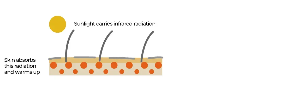 توضح الصورة كيفية امتصاص الجلد للأشعة تحت الحمراء من الشمس، مما يزيد من درجة حرارة الجسم.