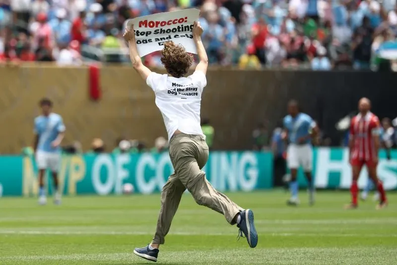 شخص يحمل لافتة في ملعب رياضي كتب عليها "المغرب: توقفوا عن قتل الكلاب والقطط"، في إشارة للاحتجاج ضد قتل الحيوانات.