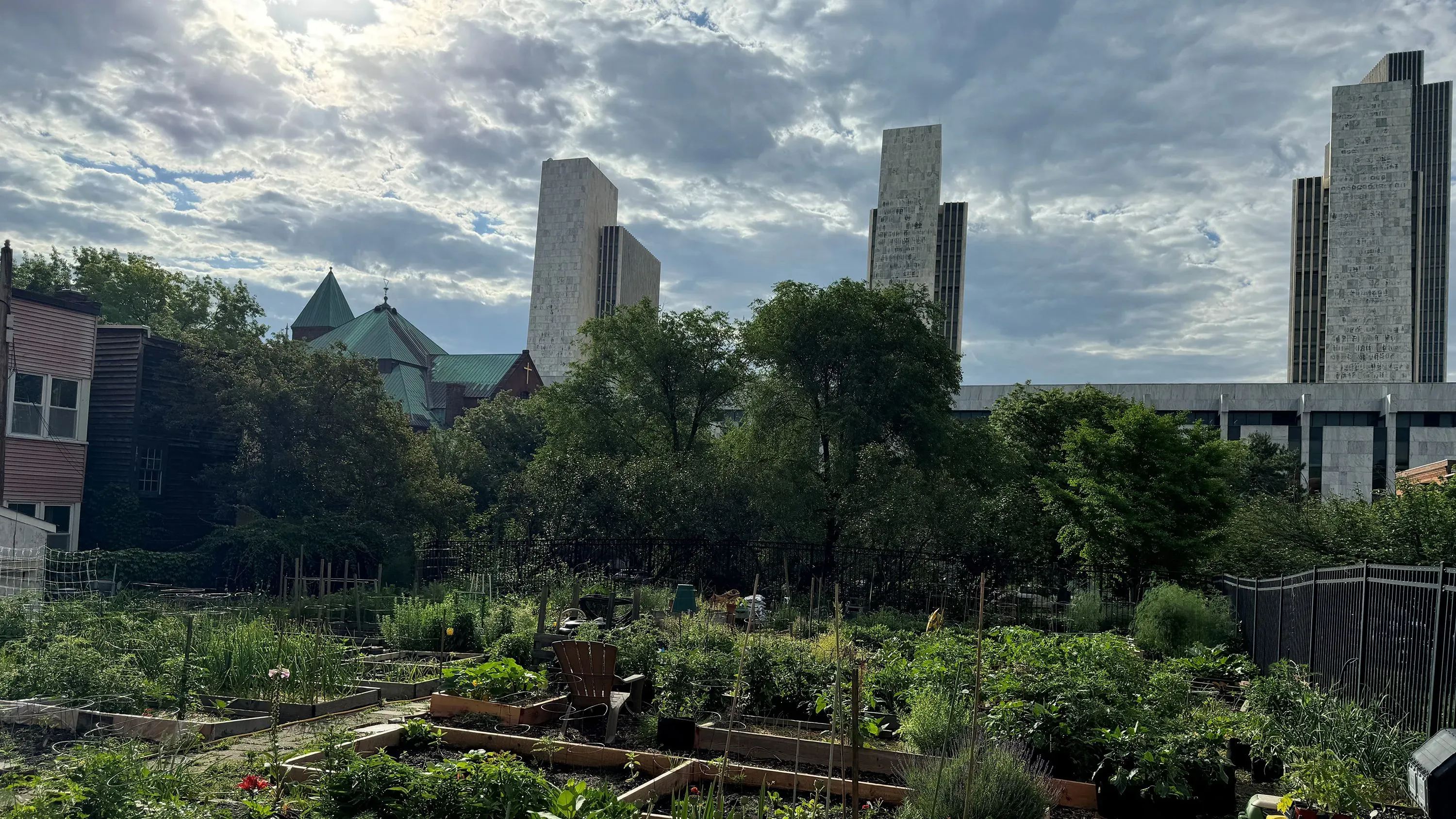 حديقة مجتمعية مليئة بالنباتات الخضراء، مع مبانٍ شاهقة في الخلفية، تعكس جهود الأفراد في زراعة الطعام وزيادة الاكتفاء الذاتي.