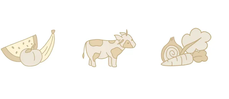 رموز بسيطة تمثل المواد الغذائية الأساسية: فاكهة، لحم البقر، وخضروات. تعكس اعتماد الولايات المتحدة على الواردات من المكسيك وكندا.