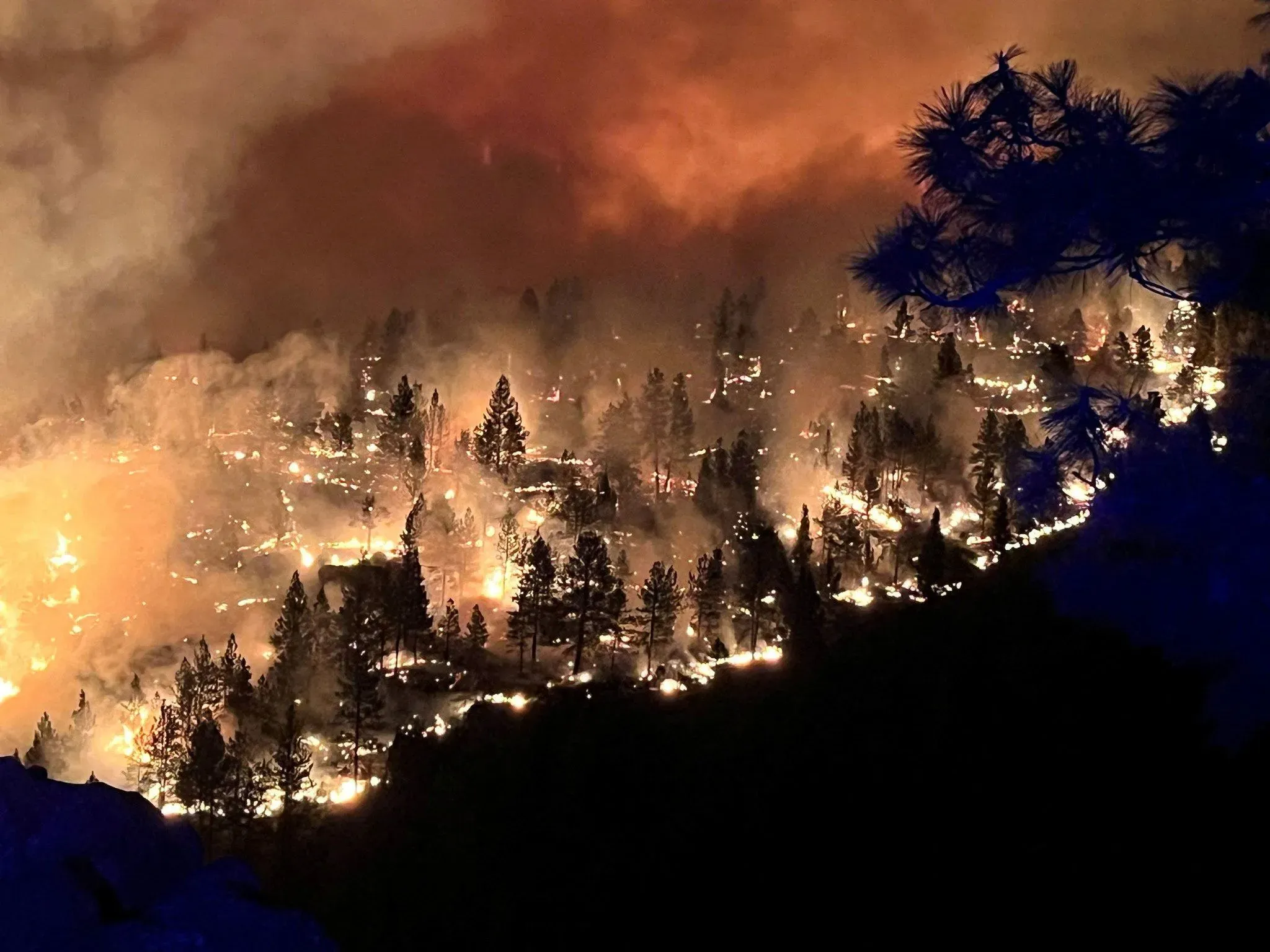 حرائق الغابات تلتهم الأشجار في شمال كاليفورنيا، مع تصاعد الدخان والنيران في الأفق، وسط تحذيرات إخلاء للمنطقة.