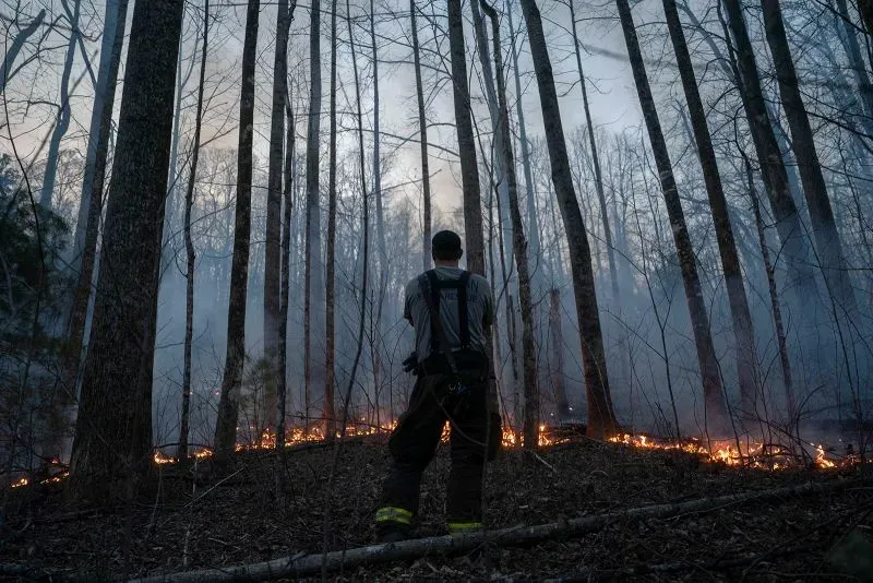 رجل إطفاء يراقب حرائق الغابات تتقدم في منطقة غابية كثيفة، مع أعمدة من الدخان والنيران تشتعل في الأرض المحيطة.