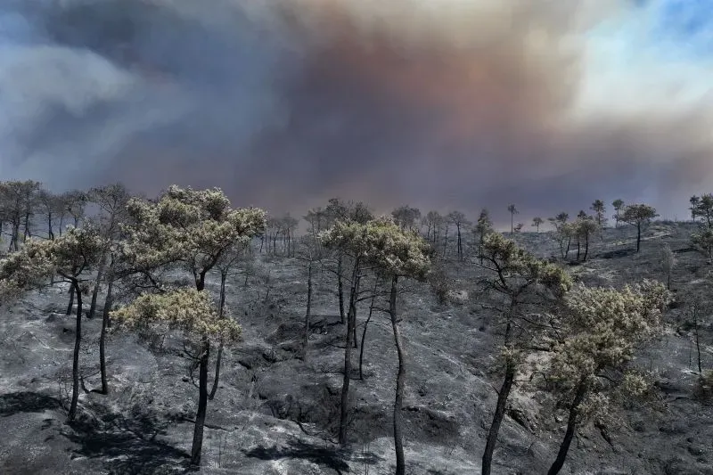 حرائق غابات مدمرة في جبل التركمان بسوريا، حيث دمرت آلاف الهكتارات من الغابات وسط دخان كثيف، مما تسبب في إرباك خدمات الطوارئ.