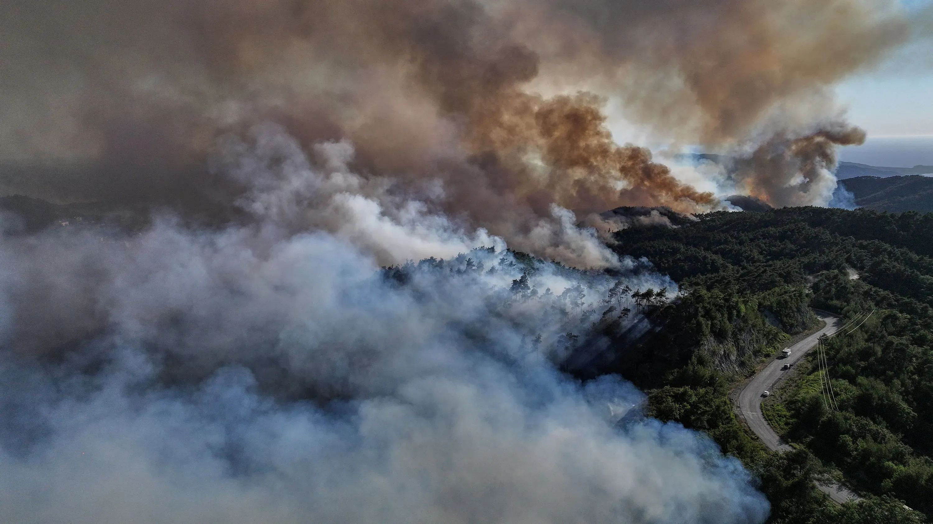 حرائق الغابات تتصاعد في منطقة جبل التركمان بسوريا، محدثة سحبًا كثيفة من الدخان وتدمير مساحات واسعة من الغابات.