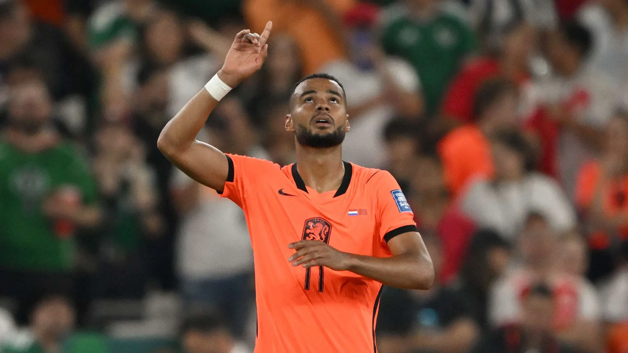 مهاجم هولندا كودي جاكبو يحتفل بهدف خلال مباراة كأس العالم 2026 في أمريكا الشمالية وسط جمهور متحمس.