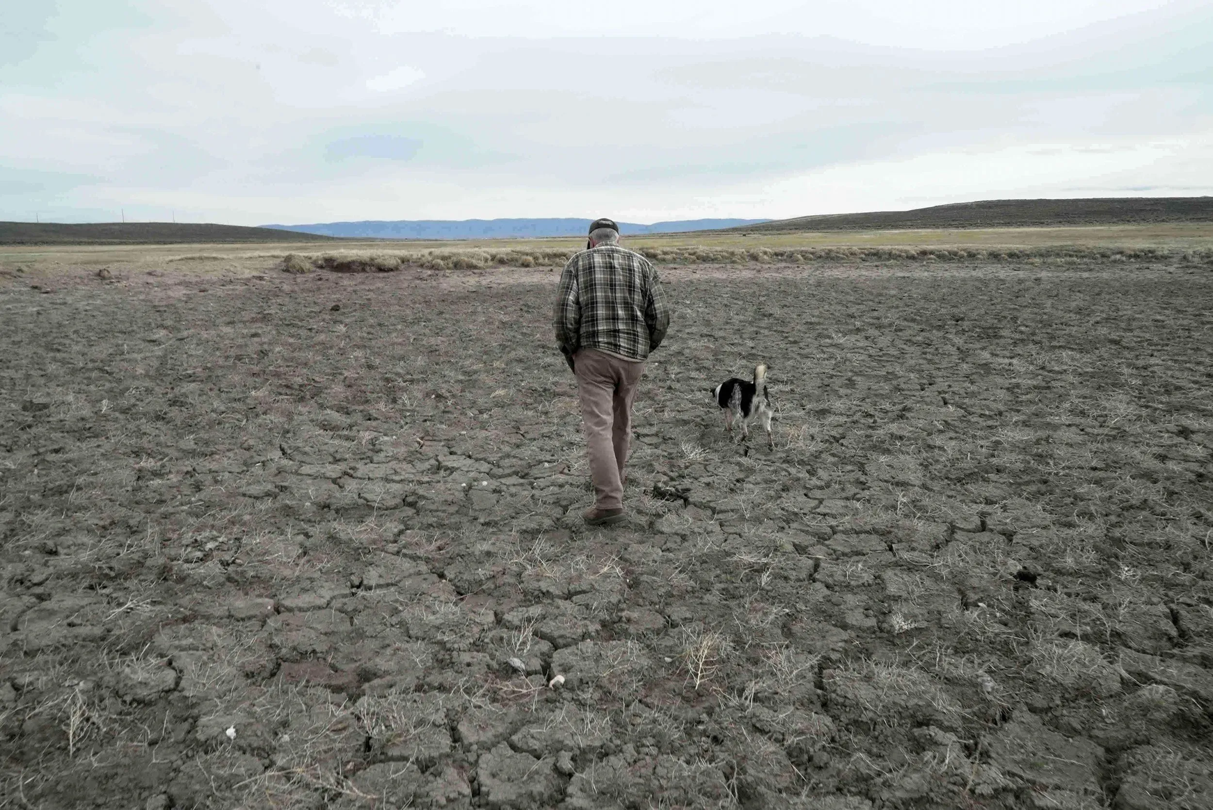 رجل مسن يسير على أرض جافة ومتشققة، تعكس آثار الجفاف الشديد في الولايات المتحدة، مع وجود كلب بجانبه.